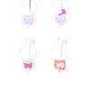 La Méthode SYNTONI - Digestion (version digitale) – Image 3